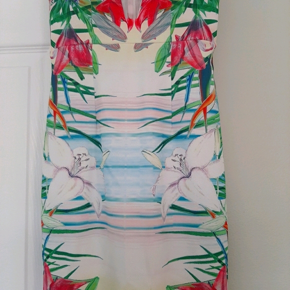 NWT Tropical V Plunge Neck Bodycon Midi Dress - Picture 4 of 10